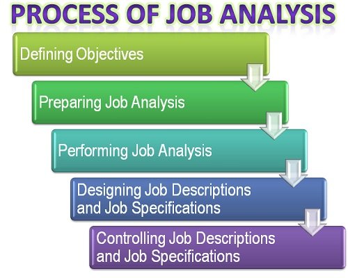 Process of Job Analysis and Design – india free notes.com