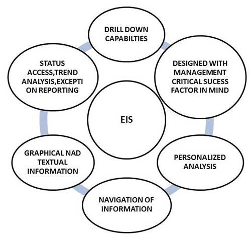 Executive Information Systems Intactone