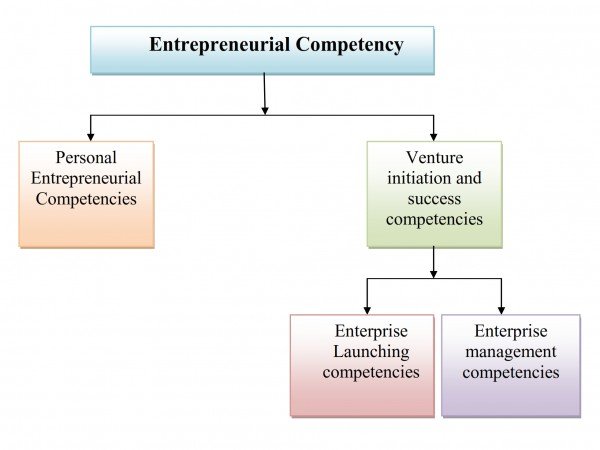 entrepreneurial-competencies-indiafreenotes