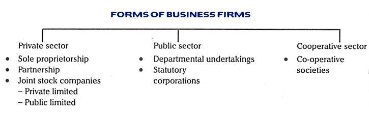 private-public-and-co-operative-sectors-indiafreenotes