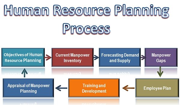 process-of-human-resource-planning-hrp-india-free-notes